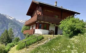 Panorama - Cozy Place in Nature